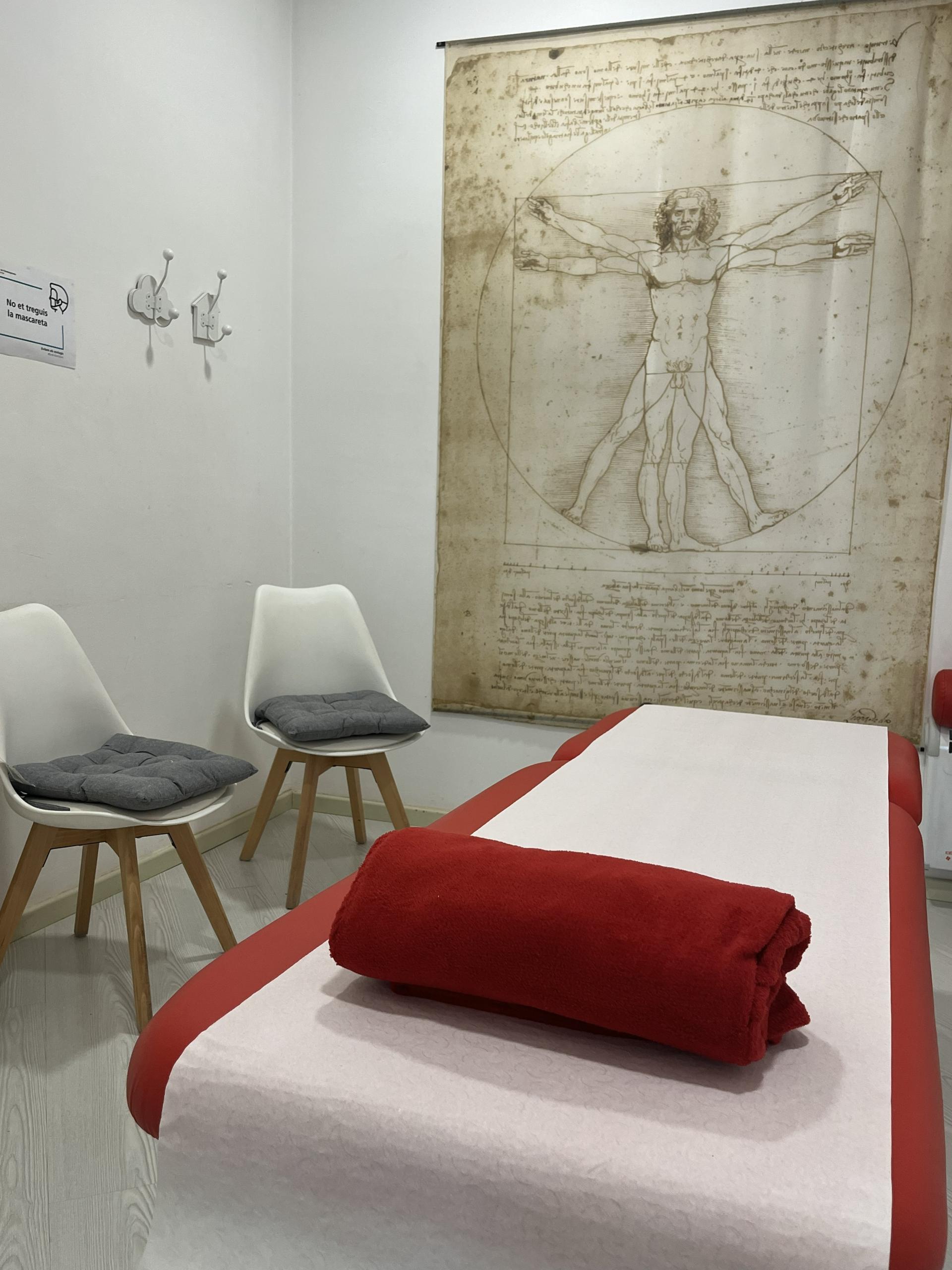 Fisioterapia MÚSCULO-ESQUELÉTICA en MiFisio a Lleida